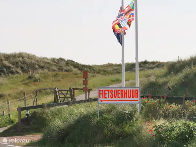 Omgeving